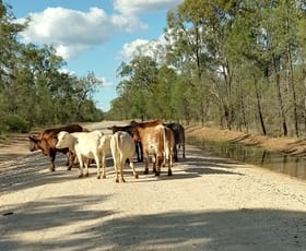 Rural / Farming commercial property for sale at Lots 1 & N Yagaburne-Boondandilla Road Boondandilla QLD 4406