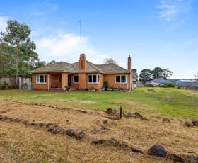 Rural / Farming commercial property for sale at 79 Mount Mercer - Dereel Road Enfield VIC 3352