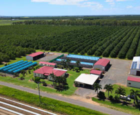 Rural / Farming commercial property for sale at Meadowvale QLD 4670