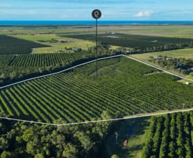 Rural / Farming commercial property sold at 733 Gooburrum Road Welcome Creek QLD 4670