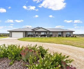 Rural / Farming commercial property for sale at 56 Warrigal-Toms Creek Road Newry VIC 3859