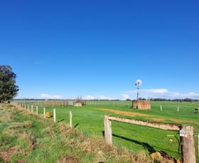 Rural / Farming commercial property for sale at 129 Fowler Road Boyanup WA 6237
