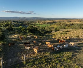 Rural / Farming commercial property sold at 'trecaine' Derrymore (lot 3) Road Derrymore QLD 4352