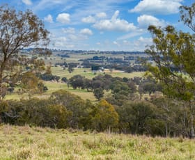 Rural / Farming commercial property for sale at 2625 Trunkey Road Caloola NSW 2795