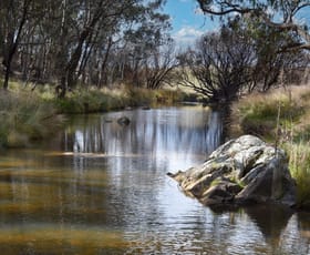 Rural / Farming commercial property for sale at 2625 Trunkey Road Caloola NSW 2795