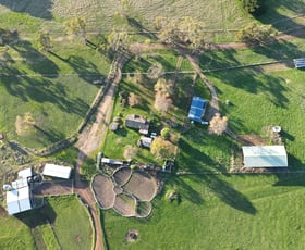 Rural / Farming commercial property sold at 133 Soundrys Road Elingamite VIC 3266