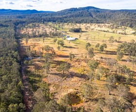 Rural / Farming commercial property for sale at 834 Dicksons Road Dooralong NSW 2259