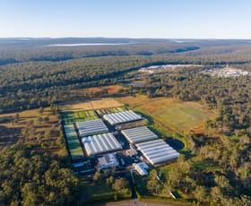 Rural / Farming commercial property for sale at 180 Mockingbird Road Pheasants Nest NSW 2574