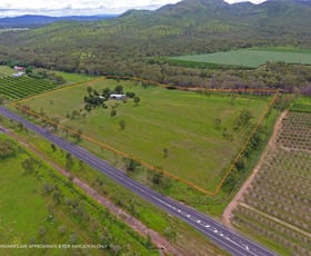 Rural / Farming commercial property for sale at 3038 Mareeba - Dimbulah Road Mutchilba QLD 4872