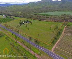 Rural / Farming commercial property for sale at 3038 Mareeba - Dimbulah Road Mutchilba QLD 4872