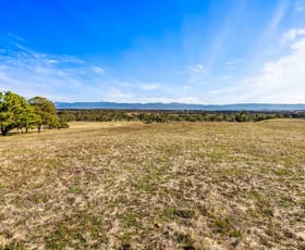Rural / Farming commercial property sold at Lot 35 Laydons Road Great Western VIC 3374