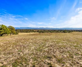 Rural / Farming commercial property for sale at Lot 35 Laydons Road Rhymney VIC 3377