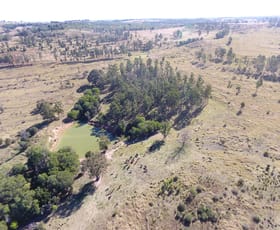 Rural / Farming commercial property for sale at 1377 Dangore Mountain Road Dangore QLD 4610