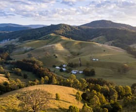 Rural / Farming commercial property sold at 3334 Allyn River Road Upper Allyn NSW 2311