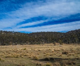 Rural / Farming commercial property for sale at 1504 Deddington Road Deddington TAS 7212