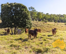 Rural / Farming commercial property for sale at 275 Nantglyn Road Mundubbera QLD 4626