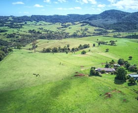 Rural / Farming commercial property for sale at Dorrigo NSW 2453
