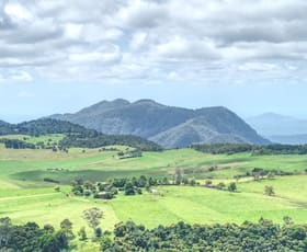 Rural / Farming commercial property for sale at Dorrigo NSW 2453