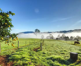 Rural / Farming commercial property for sale at Dorrigo NSW 2453