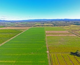 Rural / Farming commercial property for sale at 3/ Malone Road Mareeba QLD 4880