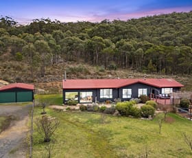 Rural / Farming commercial property for sale at 359 Forest Siding Road Goulburn NSW 2580