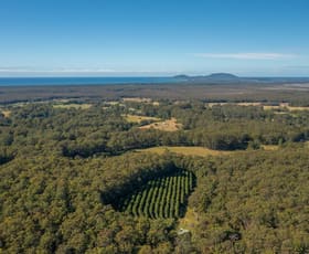 Rural / Farming commercial property for sale at 137 Browns Road Barraganyatti NSW 2441