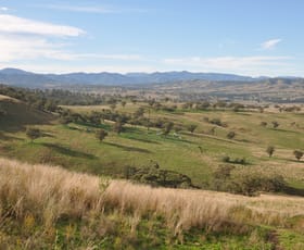 Rural / Farming commercial property sold at 'Glenroy' Tyrone Rd, Bunnan via Scone NSW 2337