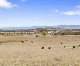 Rural / Farming commercial property for sale at 281 Patemans Lane Murrumbateman NSW 2582