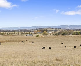 Rural / Farming commercial property sold at 281 Patemans Lane Murrumbateman NSW 2582