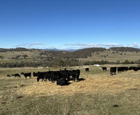 Rural / Farming commercial property for sale at 739 Tooma Road Tumbarumba NSW 2653