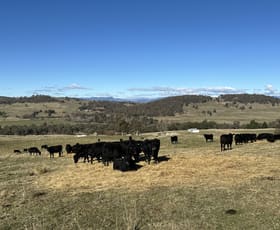 Rural / Farming commercial property sold at 739 Tooma Road Tumbarumba NSW 2653