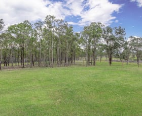 Rural / Farming commercial property sold at 51 Swain Street Belford NSW 2335
