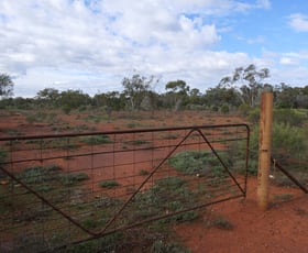 Rural / Farming commercial property sold at 723 Lerida Road Cobar NSW 2835