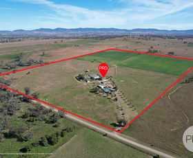 Rural / Farming commercial property for sale at 42 Jenners Lane Tamworth NSW 2340