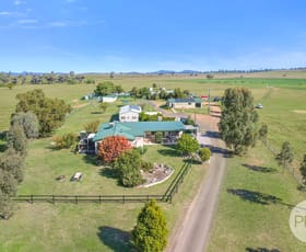 Rural / Farming commercial property for sale at 42 Jenners Lane Tamworth NSW 2340