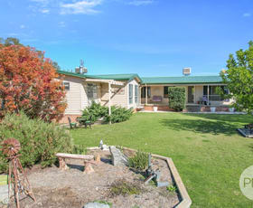 Rural / Farming commercial property for sale at 42 Jenners Lane Tamworth NSW 2340
