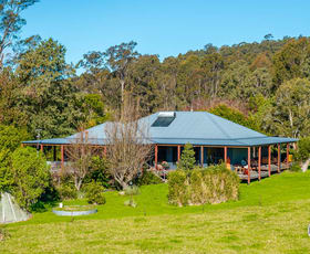 Rural / Farming commercial property for sale at 58 Mymossa Road Wamban NSW 2537