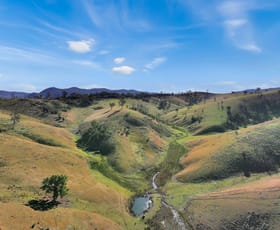 Rural / Farming commercial property for sale at 456 Gelantipy Road Buchan VIC 3885