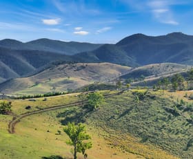 Rural / Farming commercial property for sale at 456 Gelantipy Road Buchan VIC 3885