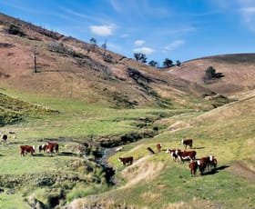 Rural / Farming commercial property for sale at 456 Gelantipy Road Buchan VIC 3885
