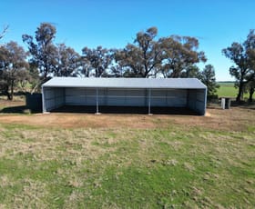 Rural / Farming commercial property for sale at 977 Schmidts Road Temora NSW 2666