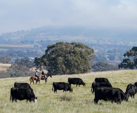 Rural / Farming commercial property for sale at 'Bunyarra Range' 60 Bunyarra Lane Orange NSW 2800