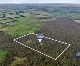 Rural / Farming commercial property for sale at 225 Clifton Road Swan Marsh VIC 3249