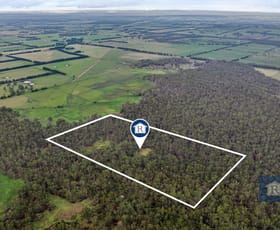 Rural / Farming commercial property sold at 225 Clifton Road Swan Marsh VIC 3249