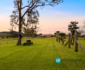 Rural / Farming commercial property for sale at 1273 Mill Creek Road Stroud NSW 2425