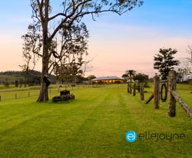 Rural / Farming commercial property sold at 1273 Mill Creek Road Stroud NSW 2425