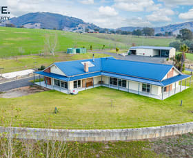 Rural / Farming commercial property for sale at 42 Tallangatta Lookout Road Tallangatta VIC 3700