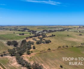 Rural / Farming commercial property for sale at 131/ Berry Road St Kitts SA 5356