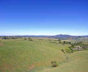 Rural / Farming commercial property for sale at Millaa Millaa QLD 4886