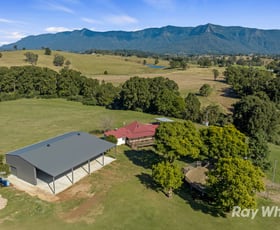 Rural / Farming commercial property for sale at 30 Larkins Road Tyalgum NSW 2484